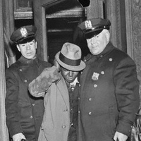 NUMBERS ARRESTS